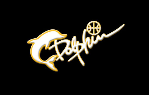 Dolphin Logo