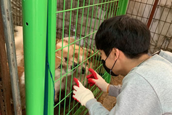 Neueulsarang Activity Photo