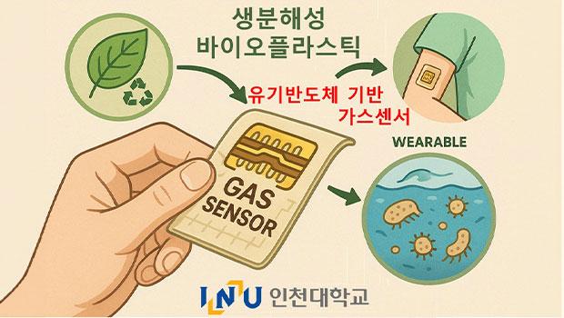 Professor Young-don Park’s Research Team of the White Bio Specialized Research Talent Development Project at Incheon National University Publishes Paper on Eco-Friendly Organic Gas Sensors in the Chemical Engineering Journal 대표이미지
